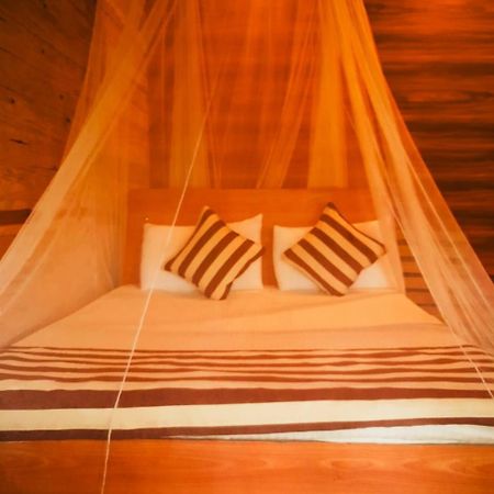 Talblick Homestay Ella Εξωτερικό φωτογραφία