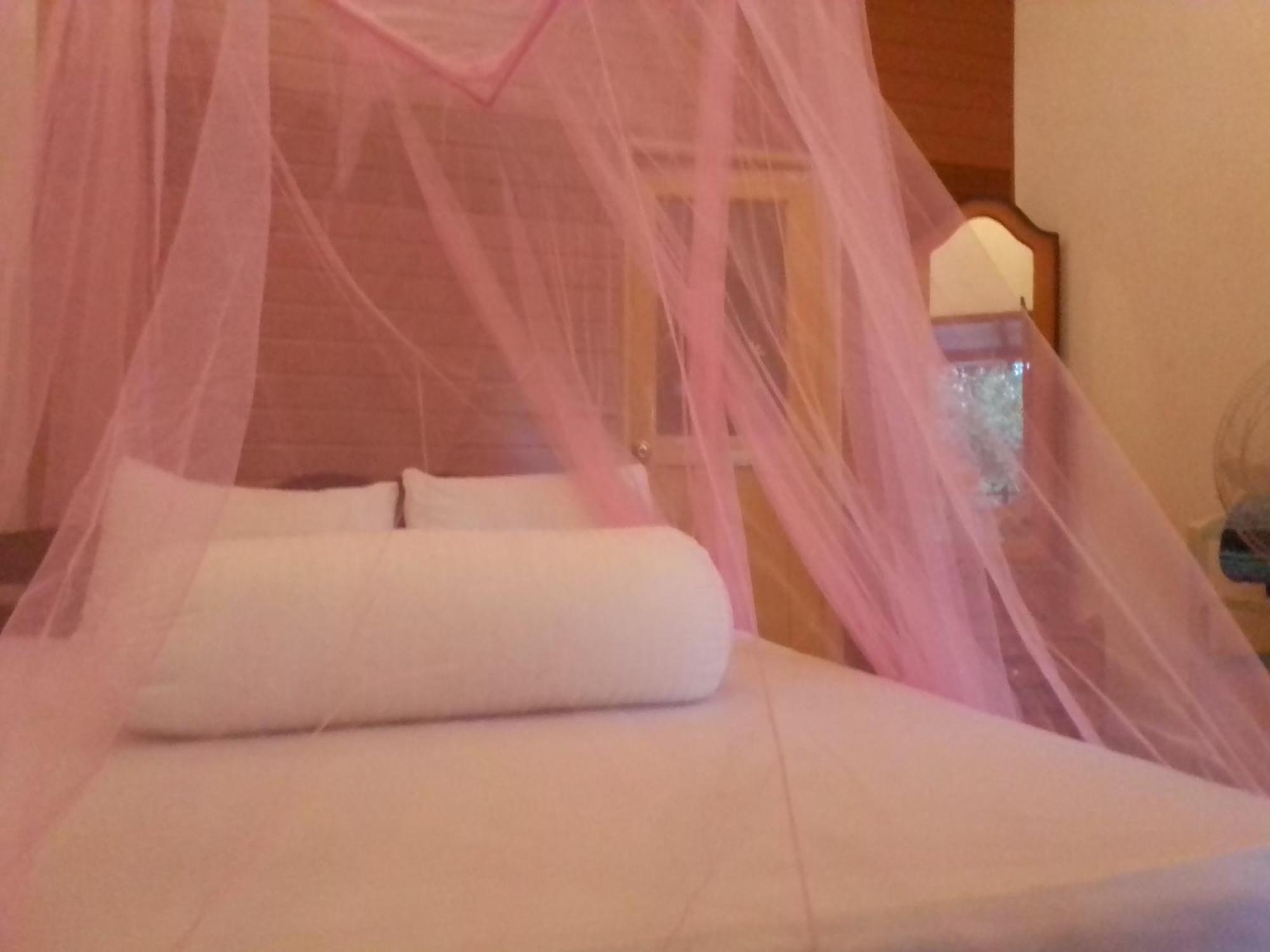 Talblick Homestay Ella Δωμάτιο φωτογραφία