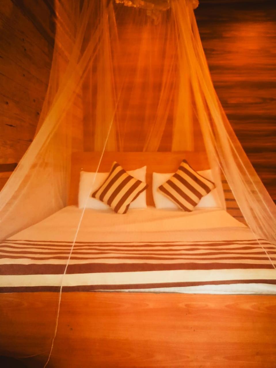 Talblick Homestay Ella Εξωτερικό φωτογραφία