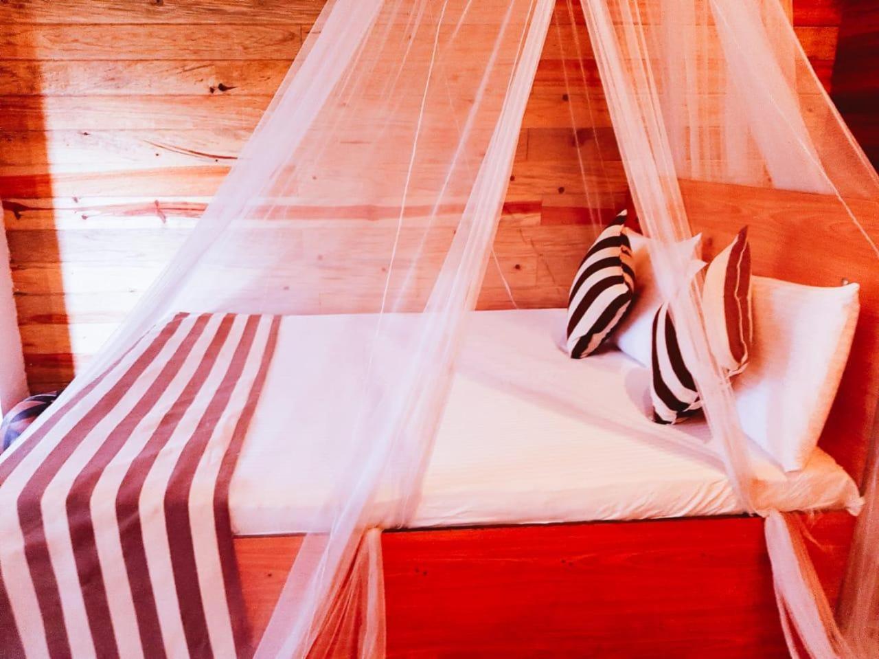 Talblick Homestay Ella Εξωτερικό φωτογραφία