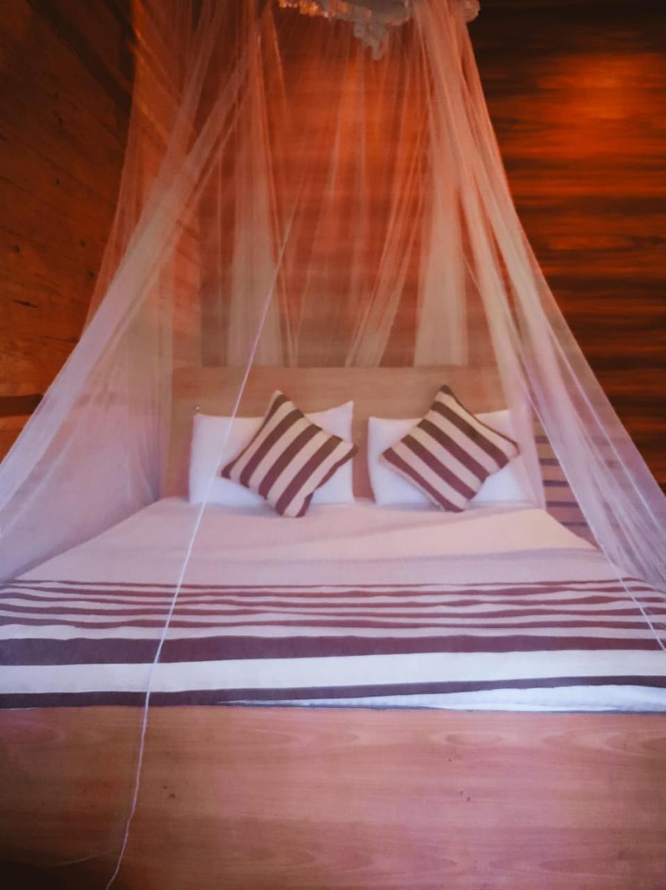 Talblick Homestay Ella Εξωτερικό φωτογραφία